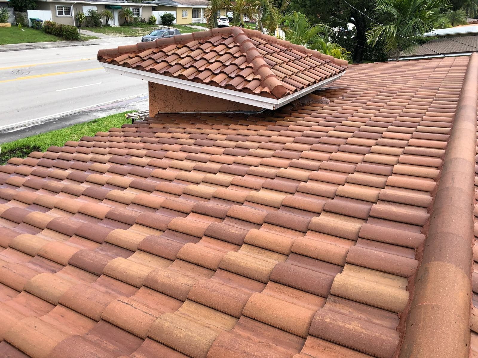 Clean terracotta tile roof after soft washing — Finesse Cleaning, South Florida