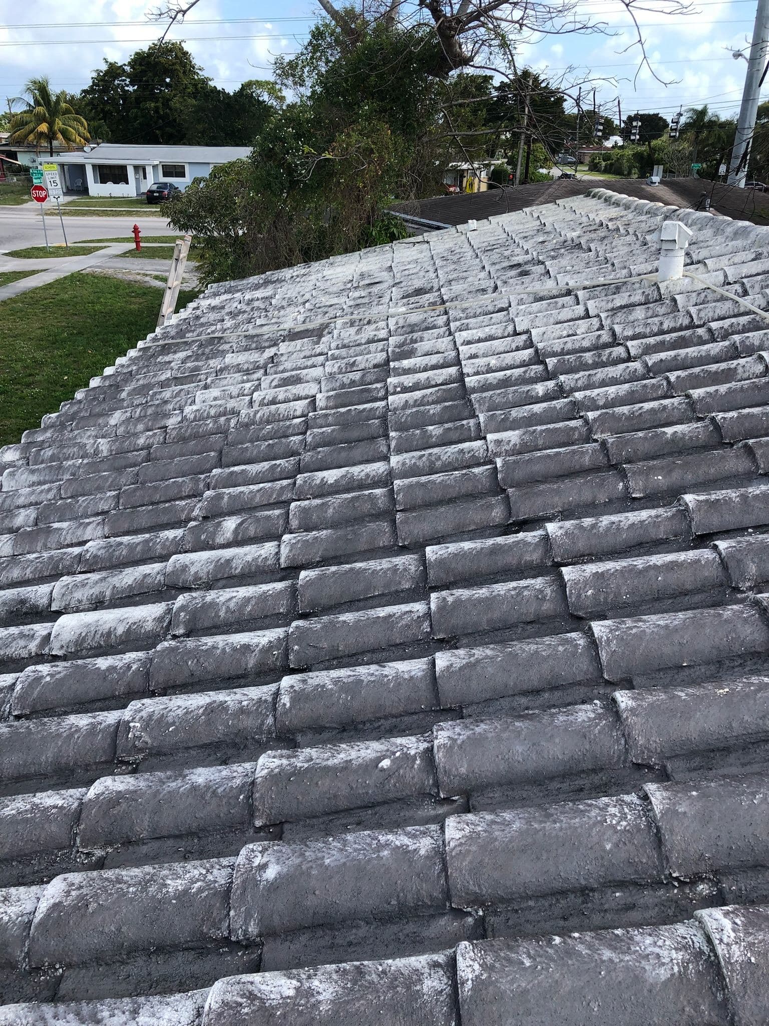Dark tile roof close up after soft washing — Finesse Cleaning, South Florida