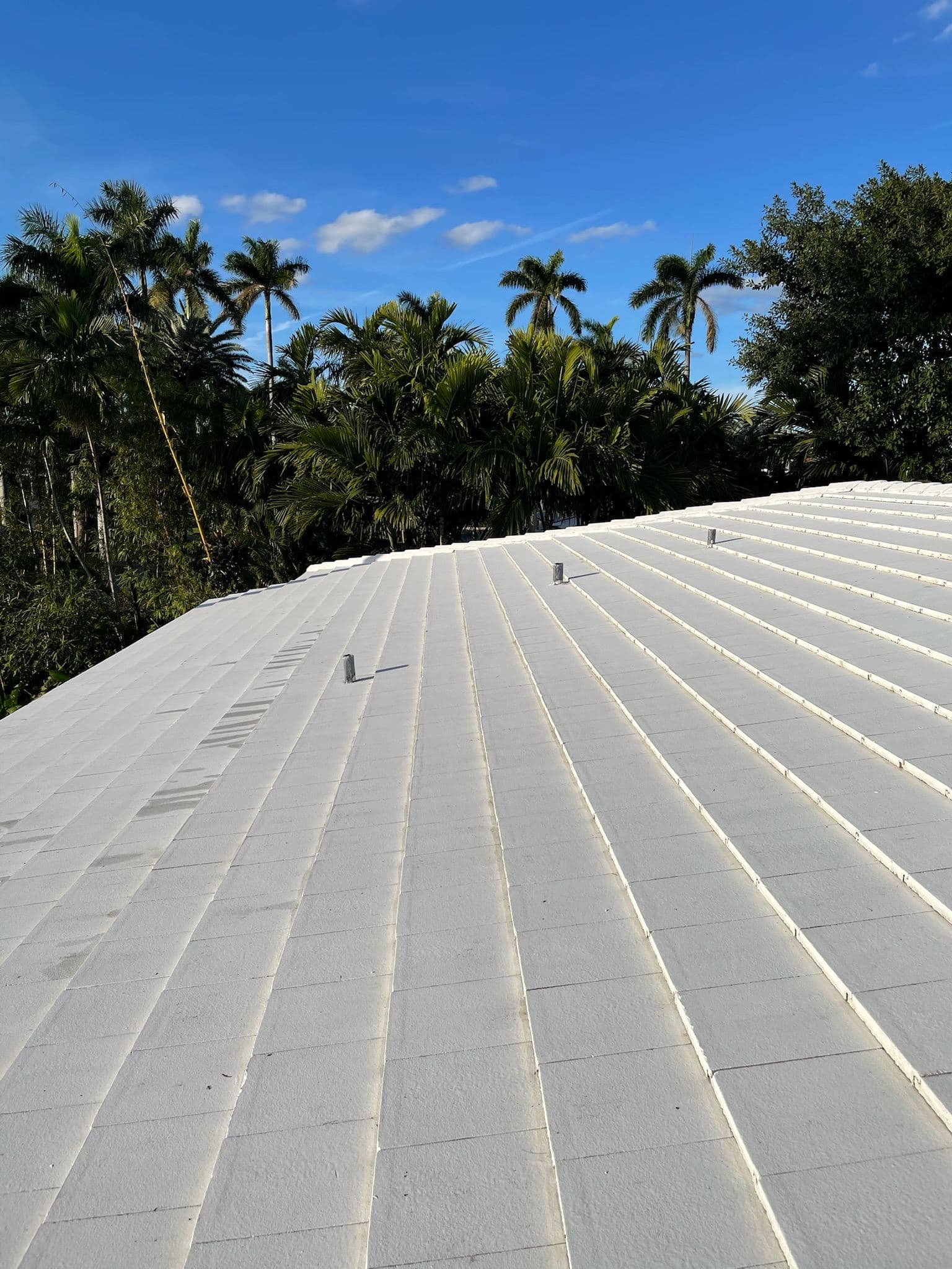 Flat roof after soft washing — Finesse Cleaning, South Florida