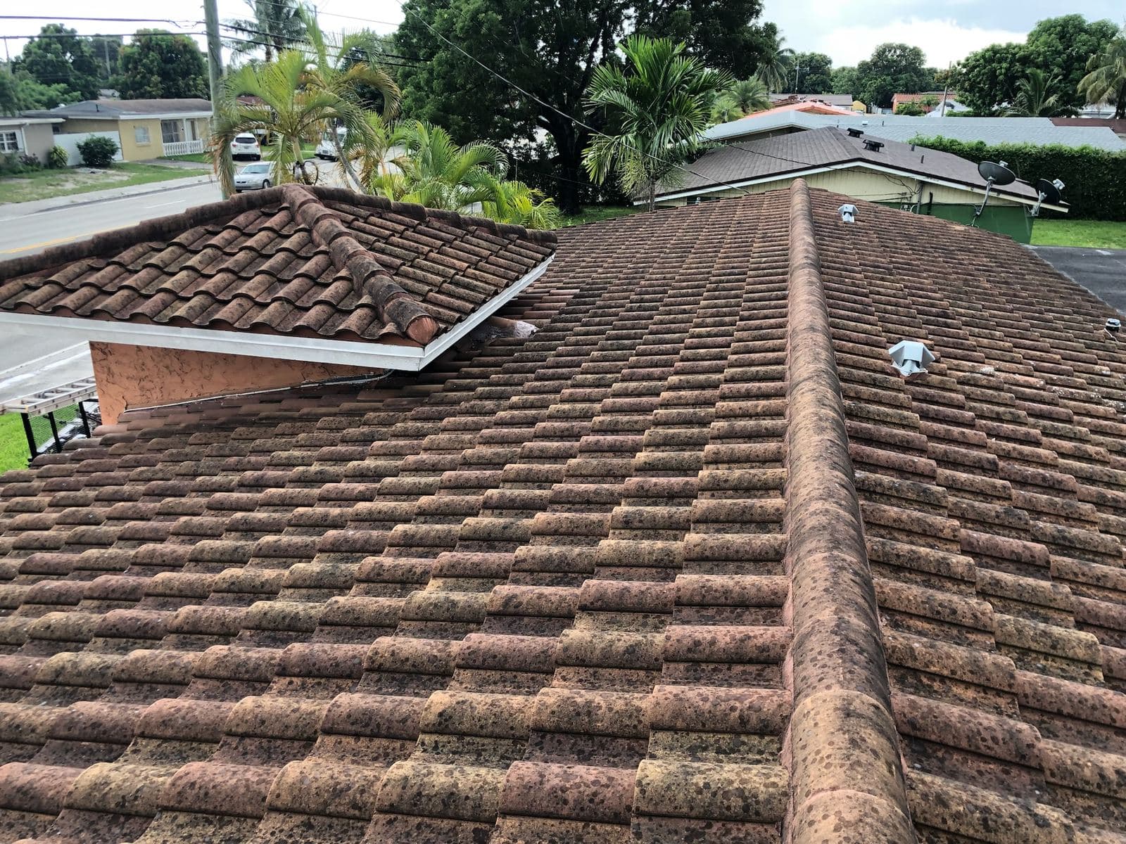 Tile roof before soft washing — Finesse Cleaning, South Florida