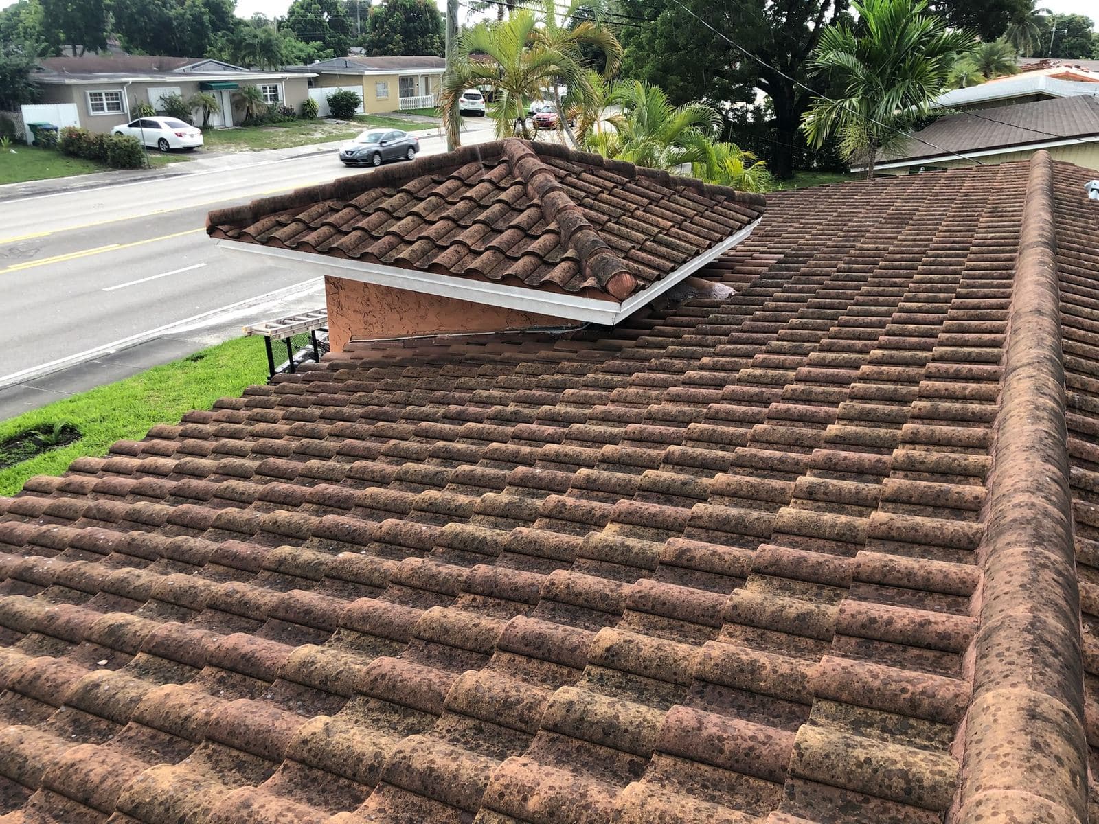 Tile roof before soft washing — Finesse Cleaning, South Florida